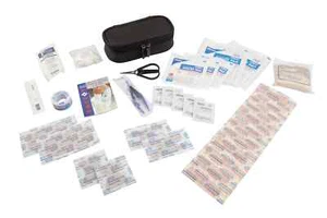Kit de primeros auxilios genuino GM con logotipo de Cadillac NUEVO 84692415 - Imagen 1 de 2