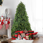 Northlight 7.5' Gunnison Pine Artificial Christmas Tree - Warm White LED Lights