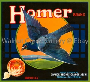 California Fruit Crate Label Fine Art Print, bird, approx 10.9" x 11.9" 12726 - Picture 1 of 1