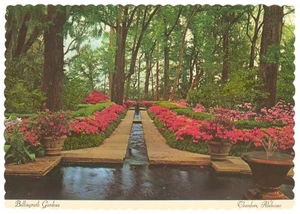 Bellingrath Gardens Postcard Theodore Alabama by Fred W. Holder - Picture 1 of 2