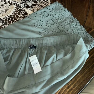 NWT Ann Taylor LOFT Wide Leg Eyelet Embroidered Crop Pants Size XL Sage Green - Picture 1 of 9