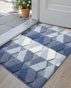 DEXI Door Mat 20X32, Non Slip Absorbent Washable Entryway Mats, Low Profile insi - Picture 1 of 12