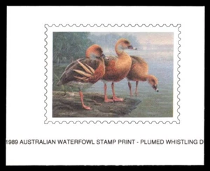 AD1 First of Nation Duck Stamp Proof - Picture 1 of 2