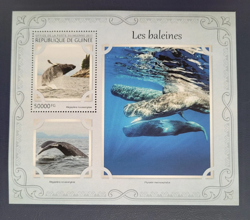 Гвинея 2017 / Морская жизнь - киты / 1 В мс - Изображение 1 из 1