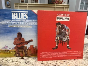 2x BLUES COMPILATION LOT FROM THE FIELDS INTO THE TOWN VOL. 2 & TASTE OF BLUESWY - Picture 1 of 6