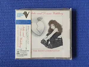 Seiko Donnie Wahlberg NKOTB The Right Combination Japan CD Video Single Disc CDV - Bild 1 von 2