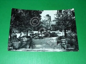 Cartolina Acquasparta - Fonte di San Francesco 1960. - Bild 1 von 1