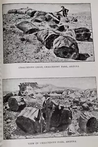 Gems & Precious Stones of North America 2nd Edition 1968 - George Frederick Kunz - Imagen 1 de 5