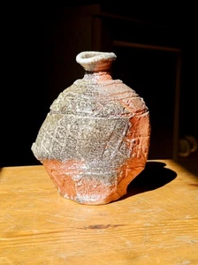 Whimsical Shigaraki tokkuri by Kengo Saeki | Sake bottle | Wabi - Sabi - Picture 1 of 19