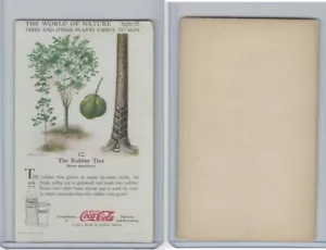 F213-3 Coca Cola, Nature Study, Trees & Plants, 1920's, #12 Rubber Tree - Picture 1 of 1