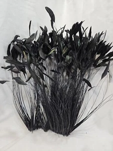 Black Stripped Coque Millinery Feathers Pack of 35 - Picture 1 of 9