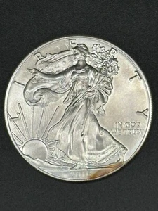 2016 One Dollar, Silver American Eagle Walking Liberty with Toning - Picture 1 of 2