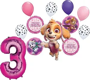 Skye and Everest 3rd Birthday Party Supplies Girl Paw Pups on Patrol Balloon - Picture 1 of 7