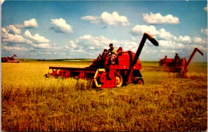Postcard Cedar Falls IA Wheat Harvesting at Cedar River Massey Ferguson Combine - Picture 1 of 2