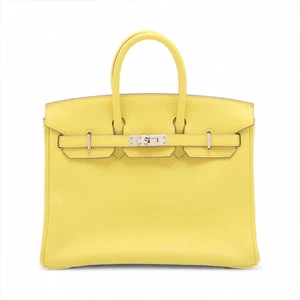 Hermès Birkin 25 Le Tournay Verso Taurillion Novillo lime x blue blue silver met - Bild 1 von 14