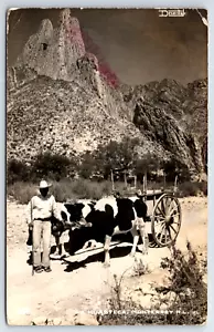 Monterrey Mexico RPPC Cow Cart Man La Huasteca Vintage Postcard - Picture 1 of 2