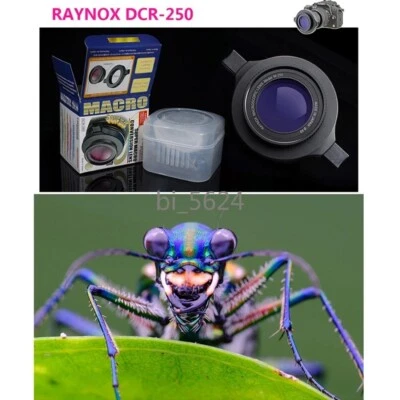 Macro Insect Photography Macroscopic Lens Magnify Glass Universal Adapter Raynox - Image 1 of 4