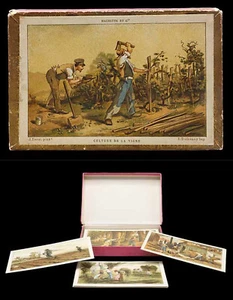 LES CULTURES DE LA TERRE - 48 chromos vers 1880 / jouet jeu ancien - Imagen 1 de 6