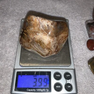 Super Sweet PNW Agatize Petrified Wood Nice polished Whole 3.99 Oz - Picture 1 of 5