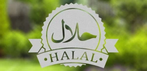 PEGATINAS DE VIDRIO ESMERILADO HALAL CALCOMANÍAS ESCAPARATE CAFETERÍA BAR RESTAURANTE GRABADAS - Imagen 1 de 1