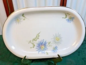 Beautiful Hutschenreuther Selb Turvel HUT1700 Floral Design Oval Serving Platter - Picture 1 of 7