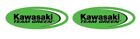 KAWASAKI TEAM GREEN Oval GREEN Small Motocross Decals / Stickers die cut 2