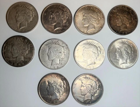 Lot of 10 Silver Peace Dollars 90% US Circulated Mixed Dates Cover