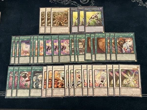 Delicioso Deck Core Raro y Supers Juegos Baraja Extra 40 Cartas Yugioh Justice Hunter - Imagen 1 de 1