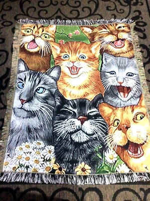 Foto Bomba Gatos Lanzar Lap Manta 39 X 50" Divertido Gatito Amigos Jacquard NUEVO Foto 1 de 4