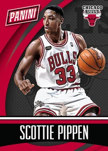 SCOTTIE PIPPEN BULLS Chicago Team Colors 2014/15 2015 Panini national convention - Picture 1 of 1