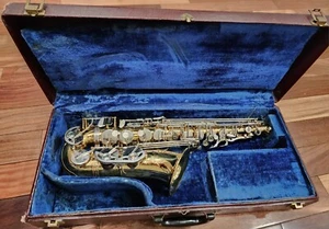 R.S. Berkeley Alto Saxophone Instrument with Case - Picture 1 of 17