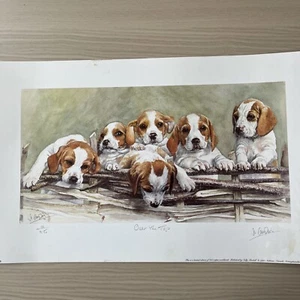 Beagle Puppies edición limitada estampado ""Over The Top"" por Jo Campin 96/850 1996 - Imagen 1 de 18