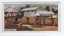 Products of the world 1928 #41 Unloading Sugar Cane, Queensland factory