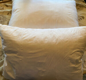 Botduck Goose Down Feather Pillows Set of 2 Standard pillows.