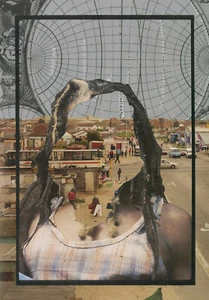 Collage - Picture 1 of 1