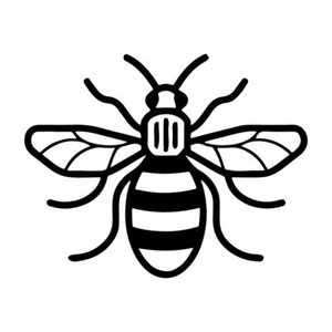 3,1 Zoll BEE x2 Vinyl Aufkleber Aufkleber Auto Fenster Laptop Bug Manchester Honig - Bild 1 von 24