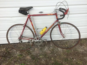 DeRosa 61cm Vintage '81 Road Racing Bicycle - Picture 1 of 8