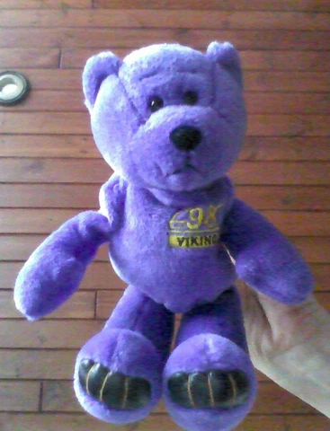 Vintage MN Vikings #7 Cunningham Beanie Bear Cover