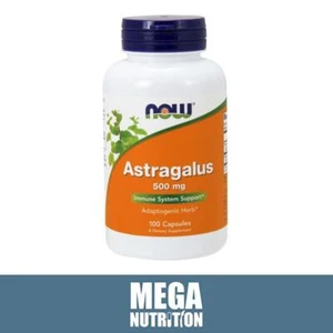 NOW Foods Astragalus Immune System Support Adaptogenic Herb 500mg 100 Capsules - Picture 1 of 2