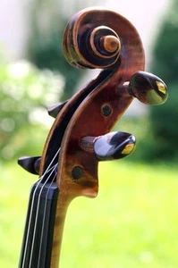 EXQUISITE ANTIQUE VIOLIN by ONE OF THE BEST VIENNA MASTERS Michael I. Stadlmann - Picture 1 of 24