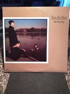 TEARS FOR FEARS THE HURTING 1983 MERCURY PHONIGRAM MASTERDISK 422-811 039-1 VG - Imagen 1 de 21