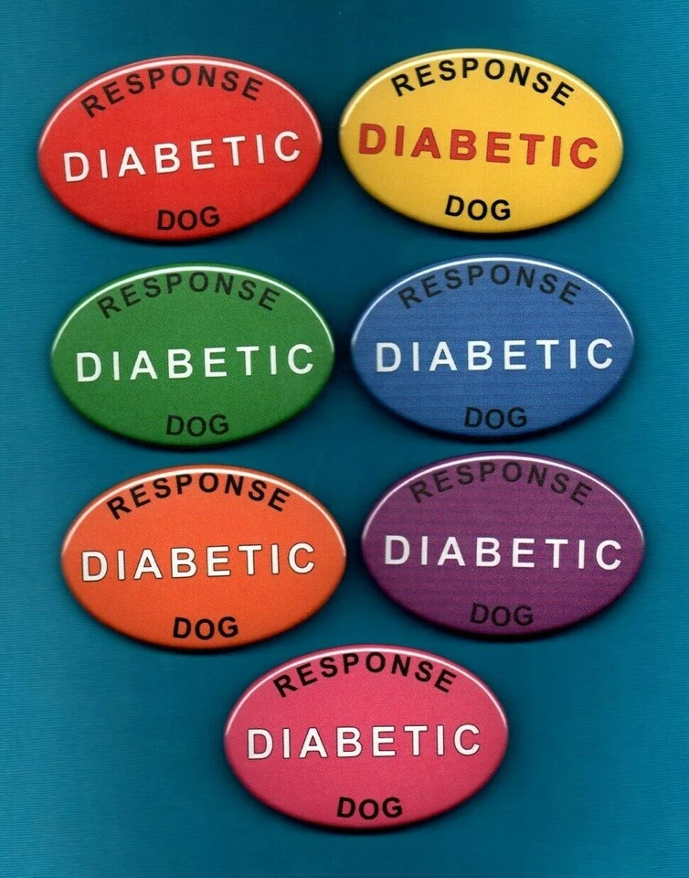 DIABETIC RESPONSE DOG - 7 colors - service dog vest button w/pin back - Image 1 of 1