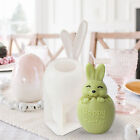 Adorable Easter Eggshells Bunny Silicone Mold, Baking&Cake,Candle Crafting Tolos