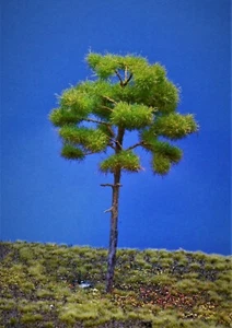 Diorama Modell Nadelbäume, 1 Waldkiefer, ca. 22 cm - Picture 1 of 3