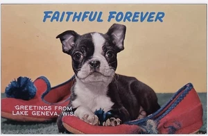 Lake Geneva WI-Wisconsin Postkarte Faithful Forever Greetings From Doggy - Bild 1 von 2