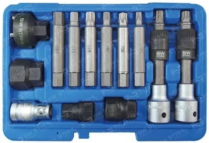 SW-Steel 05257L Set di punte per montaggio puleggia ruota libera 1/2" OE U40084 13 pezzi  - Foto 1 di 1