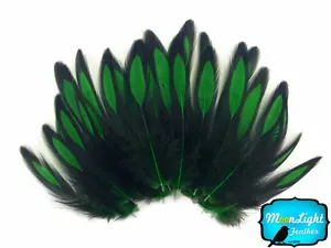 1 Dutzend - Kelly Green BLW Wittling geschnürt Henne Cape lose Feder Fliegenbinden Angebot - Bild 1 von 3