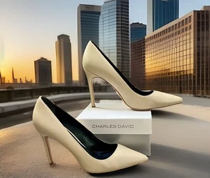 Charles David Sway II Pointed Toe Stiletto Leather Pump in Nude Sz 11 - Picture 1 of 6
