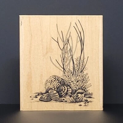 Estampilla de goma coralina y conchas marinas fondo océano Inkadinkado 60-00546 playa naturaleza Foto 1 de 4