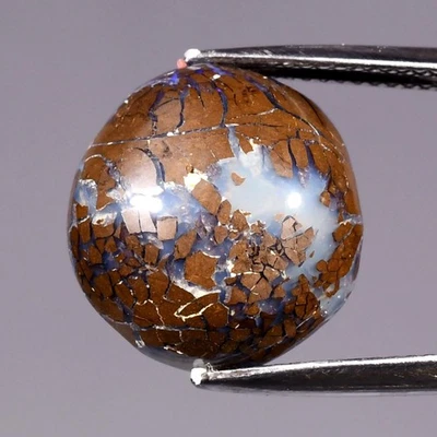 💎15.06 克拉自由形式凸圆形天然温顿矩阵巨石蛋白石 - 昆士兰宝石 — 第 1/4 张图片